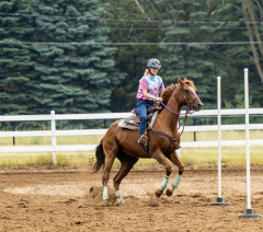 2022-6-26-Sunday-Horse-trial-438