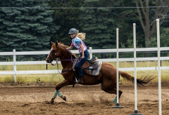 2022-6-26-Sunday-Horse-trial-451