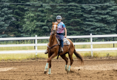 2022-6-26-Sunday-Horse-trial-452