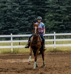 2022-6-26-Sunday-Horse-trial-453