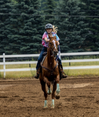 2022-6-26-Sunday-Horse-trial-455