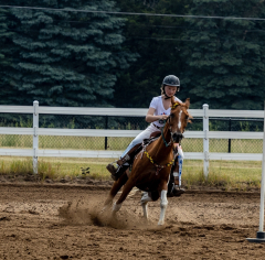 2022-6-26-Sunday-Horse-trial-493