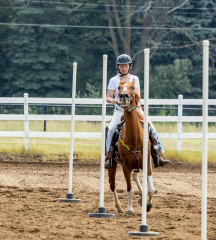 2022-6-26-Sunday-Horse-trial-494