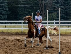 2022-6-26-Sunday-Horse-trial-495