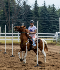 2022-6-26-Sunday-Horse-trial-497