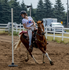 2022-6-26-Sunday-Horse-trial-499