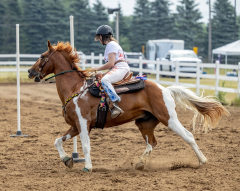 2022-6-26-Sunday-Horse-trial-500