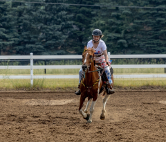 2022-6-26-Sunday-Horse-trial-507