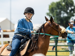 2022-6-26-Sunday-Horse-trial-512