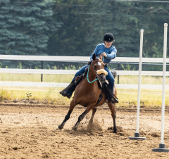 2022-6-26-Sunday-Horse-trial-516