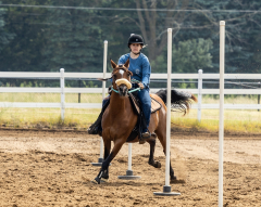 2022-6-26-Sunday-Horse-trial-518