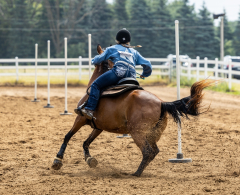 2022-6-26-Sunday-Horse-trial-523