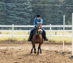 2022-6-26-Sunday-Horse-trial-530