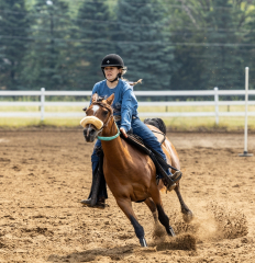 2022-6-26-Sunday-Horse-trial-534