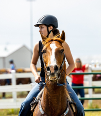 2022-6-26-Sunday-Horse-trial-536