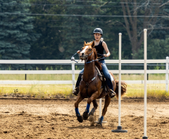 2022-6-26-Sunday-Horse-trial-538