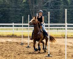 2022-6-26-Sunday-Horse-trial-540