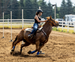 2022-6-26-Sunday-Horse-trial-543