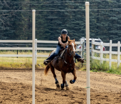 2022-6-26-Sunday-Horse-trial-551