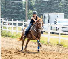 2022-6-26-Sunday-Horse-trial-552