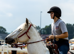 2022-6-26-Sunday-Horse-trial-555