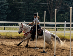 2022-6-26-Sunday-Horse-trial-557