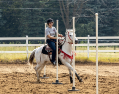 2022-6-26-Sunday-Horse-trial-558