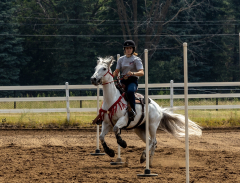 2022-6-26-Sunday-Horse-trial-559