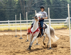 2022-6-26-Sunday-Horse-trial-562