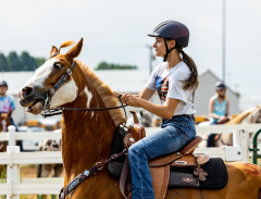 2022-6-26-Sunday-Horse-trial-574