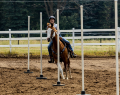 2022-6-26-Sunday-Horse-trial-579