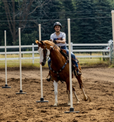 2022-6-26-Sunday-Horse-trial-581