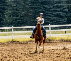 2022-6-26-Sunday-Horse-trial-588