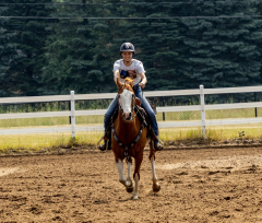 2022-6-26-Sunday-Horse-trial-589