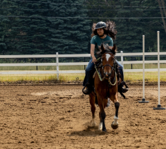 2022-6-26-Sunday-Horse-trial-603