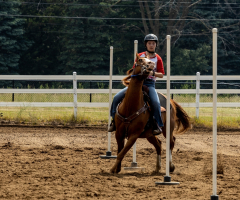 2022-6-26-Sunday-Horse-trial-611