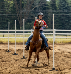 2022-6-26-Sunday-Horse-trial-613