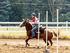 2022-6-26-Sunday-Horse-trial-620