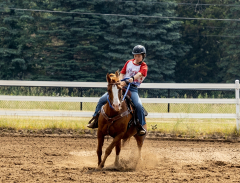 2022-6-26-Sunday-Horse-trial-621