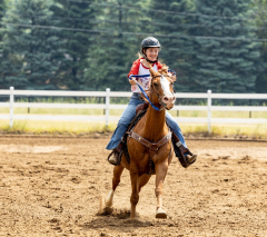 2022-6-26-Sunday-Horse-trial-624