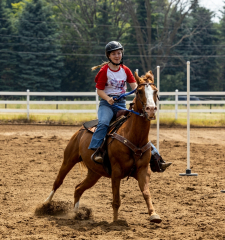 2022-6-26-Sunday-Horse-trial-625