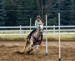 2022-6-26-Sunday-Horse-trial-630