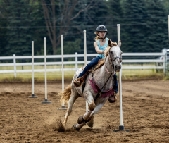 2022-6-26-Sunday-Horse-trial-632