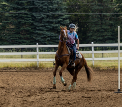 2022-6-26-Sunday-Horse-trial-652