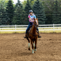 2022-6-26-Sunday-Horse-trial-656