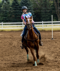 2022-6-26-Sunday-Horse-trial-657