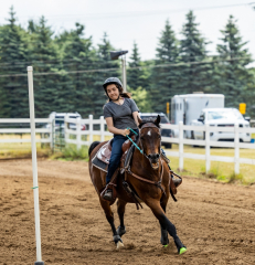 2022-6-26-Sunday-Horse-trial-662