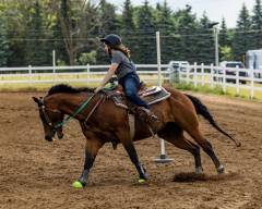 2022-6-26-Sunday-Horse-trial-663