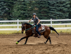 2022-6-26-Sunday-Horse-trial-665