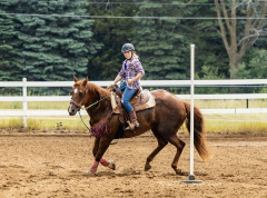 2022-6-26-Sunday-Horse-trial-679